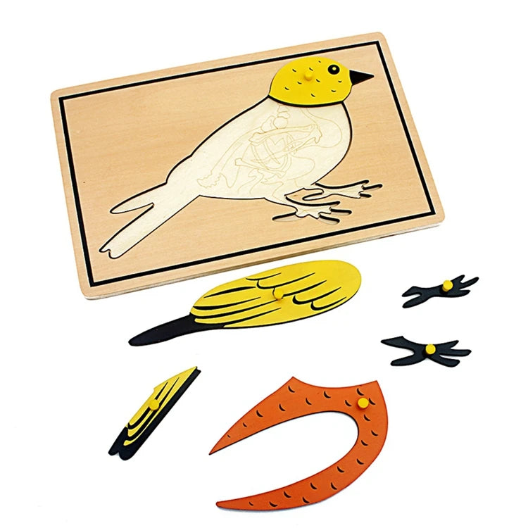 Children Educational Toys Montessori Materials Biology Wooden Skeleton Puzzle Frog Horse Tortiose Fish Bird Animal Toys for Boy